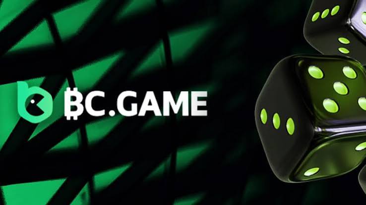 Understanding the BC.Game Login Process -342169072